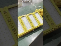 WF2 IP66 Luz LED à prova de explosão com sombra de vidro convexa à prova de água