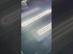 IP66 ATEX Luz linear à prova de explosão para industrial 50w 100w 200w