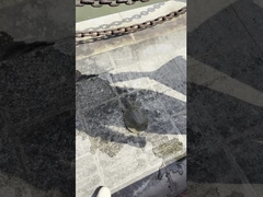 AC85-310V/AC100-277V 130-140LM/W Lâmpada de rua LED exterior para jardim de estrada, quadrado