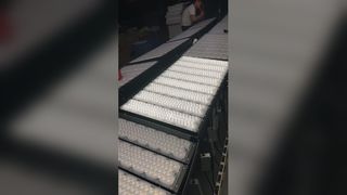 Veja a iluminação durável para estádios externos: Demonstração de holofotes de módulo LED RFFL-11 IP65