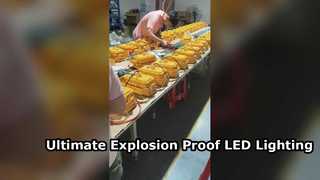 Holofote LED à prova d'água IP65 aprovado pela ATEX com vidro temperado para áreas perigosas