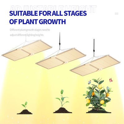 Sistema de iluminação de estufa LED regulável de espectro total de 200W T5 para crescimento de plantas