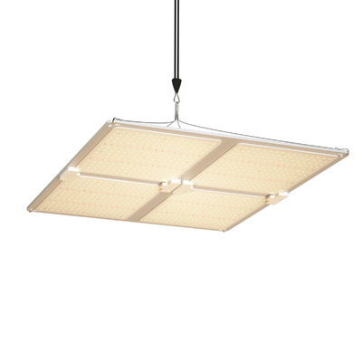 Luz de cultivo LED de espectro completo com 400W de potência e altura de suspensão ajustável para o crescimento de plantas em ambientes internos