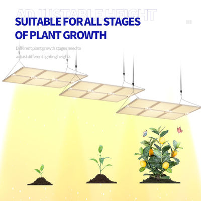 Luz de cultivo LED de espectro completo de 600W com função de dimerização para crescimento ideal das plantas