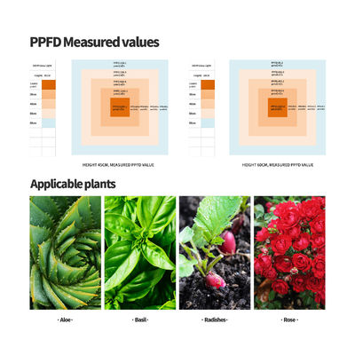 Luz de cultivo LED de espectro completo de 600W com função de dimerização para crescimento ideal das plantas