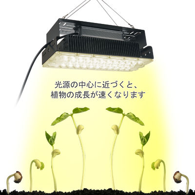 100W Full Spectrum LED Grow Light com LEDs SMD3030 para plantas de interior e jardins