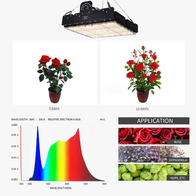 Espectro completo 250W T5 LED Grow Light com gestão térmica passiva para plantas de interior