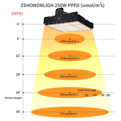 Espectro completo 250W T5 LED Grow Light com gestão térmica passiva para plantas de interior