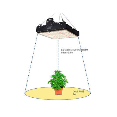 Espectro completo 250W T5 LED Grow Light com gestão térmica passiva para plantas de interior