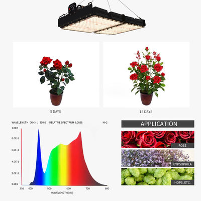 Luz de cultivo LED de 500W com leitura PPFD e espectro completo para plantas de interior