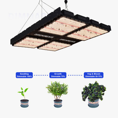 Luz de cultivo LED de espectro completo de 1000W com intensidade regulável para plantas de interior com controle de temporizador
