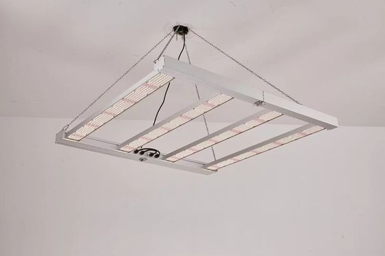 Lâmpada de crescimento led 4T dobrável 600W 800W para uso comercial
