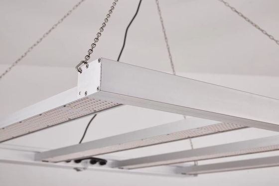 Luz de cultivo LED de espectro completo de 800W com classificação IP65 à prova d'água para crescimento comercial de plantas