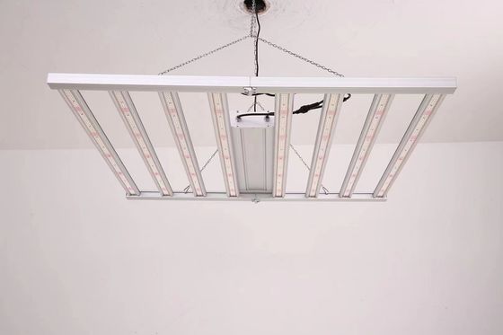 Foldável 600W Full Spectrum LED Grow Light para cultivo comercial de plantas