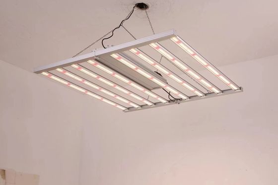 Luz de cultivo LED de espectro completo de 800W com classificação IP65 à prova d'água para crescimento comercial de plantas