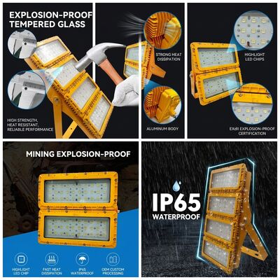 Luz de inundação à prova de explosão LED Multi-Mount 600W com suporte de 6 vias LUMILEDS LM-80 ATEX IIb T6 IP65 Luminária de teto, lança e parede