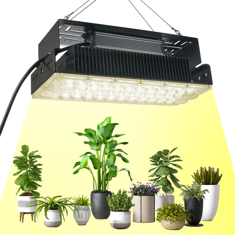 100W Full Spectrum LED Grow Light com LEDs SMD3030 para plantas de interior e jardins