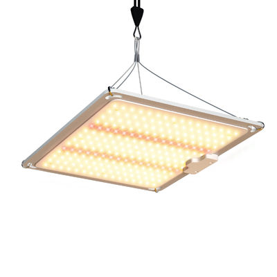 600w HPS 4x4 Grow Light Plant Lamp Promover a floração e frutificação
