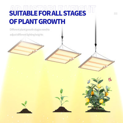 600w HPS 4x4 Grow Light Plant Lamp Promover a floração e frutificação