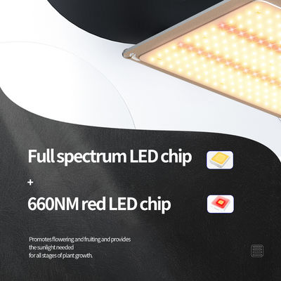 200w LED T5 Grow Lights Sistema de iluminação de estufa