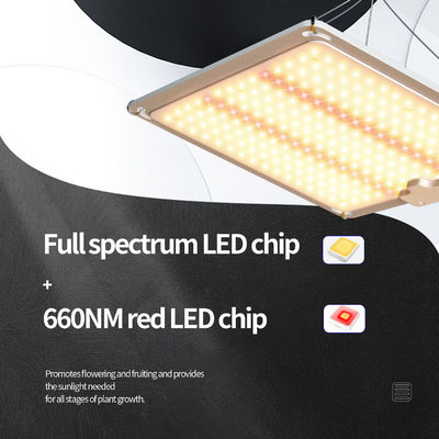Painel LED 3x3 Crescer Luz Plant Lamp Light 600w