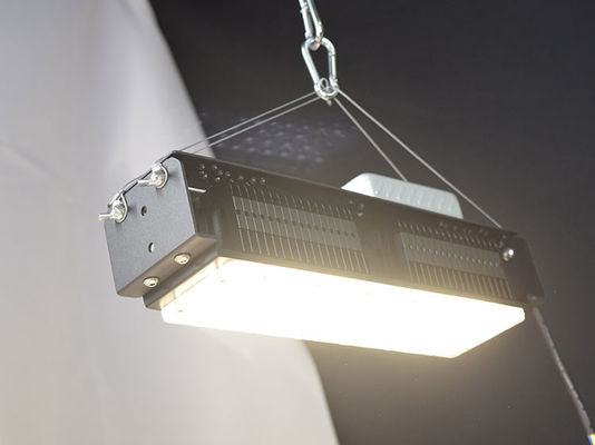 AC85V-265V Lâmpadas de crescimento LED para plantas de interior 50W