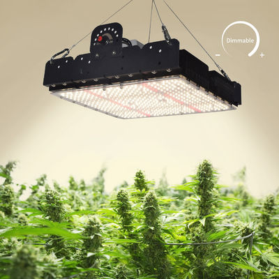 Lâmpada de crescimento LED T5 de espectro completo para plantas de interior 250w